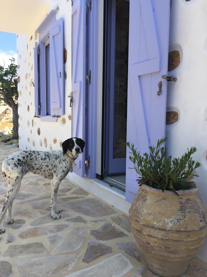 Posidhonía Good Life Greece Eco Villas מראה חיצוני תמונה
